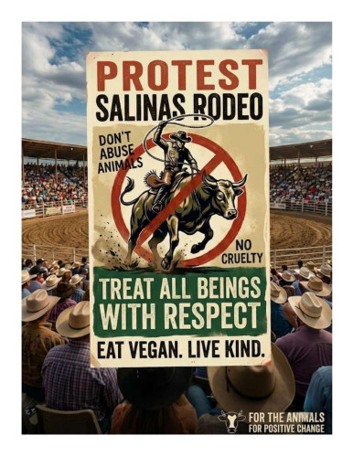 In front of the Salinas Sports Complex, 1034 North Main Street, Salinas (On the corner of Iris & North Main Street)