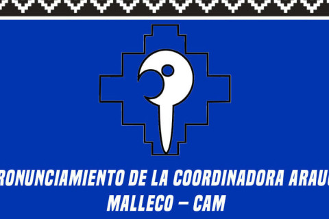 Resistencia Mapuche 