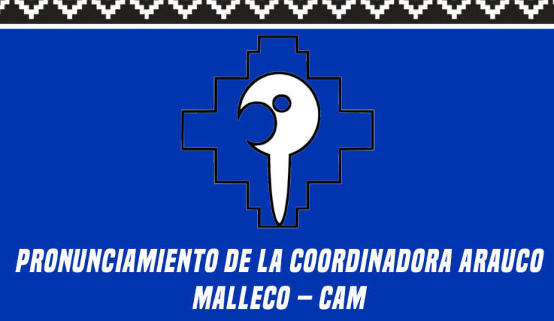 Resistencia Mapuche