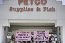 With Bay Area cities moving to ban retail sale of animals, advocates protested in San Rafael to bring attention to cruelty of the exotic ...