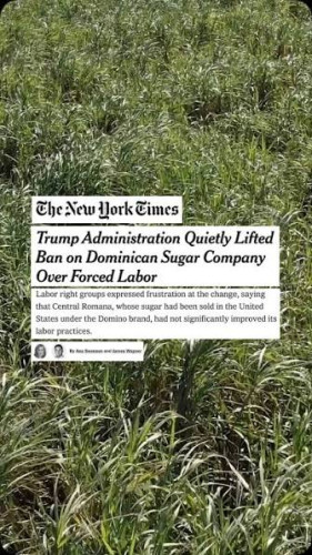 sm_ilwu_6_strike_fanjul_deal_with_trump_lifts_boycott_on_dominican_force_labor.jpg