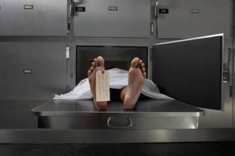 The convicted felon President Donald J, Trump and the Trump administration may be trying to kill Americans, one way or another.