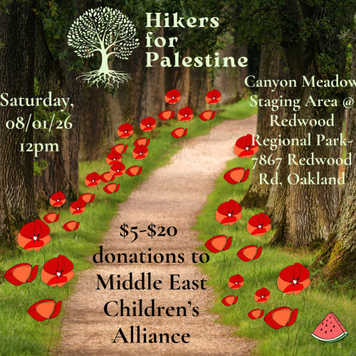 Canyon Meadow Staging Area, Reinhardt Redwood Regional Park (7867 Redwood Road, Oakland, CA 94619)