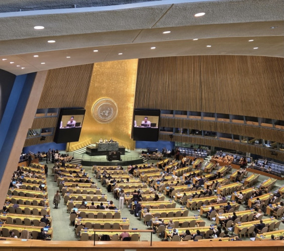 United Nations Permanent Forum on People of African Descent addresses challenges of the scourges of racism, racial discrimination, xenoph...