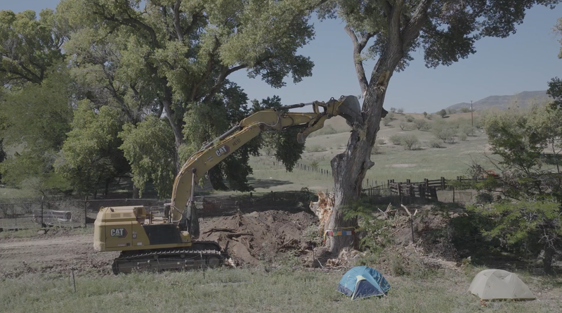 A tree sitter has stopped border wall construction in Arizona, east of Nogales. The tree sitters are saving one old growth cottonwood, ho...