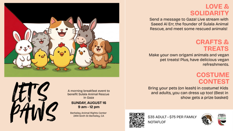 Berkeley Animal Rights Center - West Berkeley, CA
2414 Sixth Street, Berkeley, CA 94710