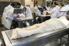 Medical students dissecting human cadavers. 