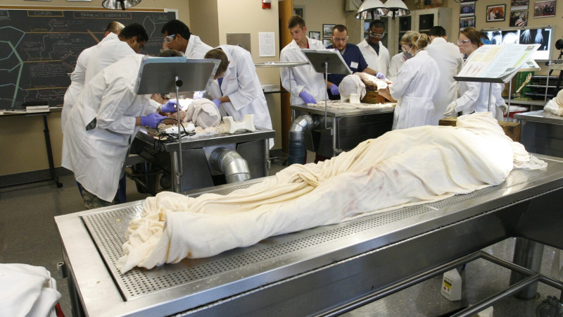 Medical students dissecting human cadavers.