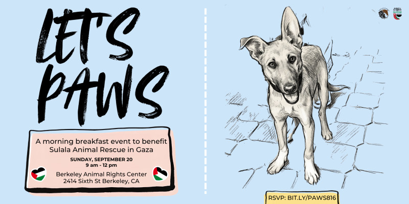 Berkeley Animal Rights Center - 2414 Sixth Street, Berkeley, CA 94710