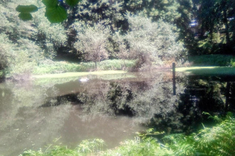 480_image_2026-08-20_153538549.jpg