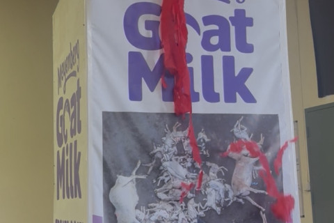 480_bloody_milk_carton_prop_1.jpg