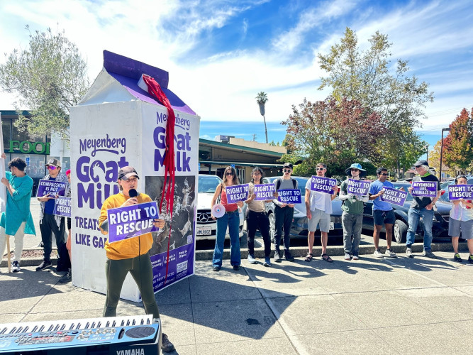 Point made with giant "bloody" mild carton and "die-in"