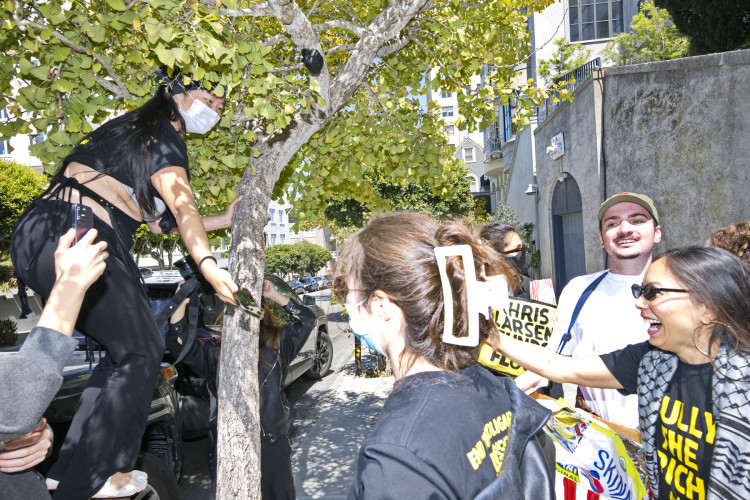 sm_020.jpg