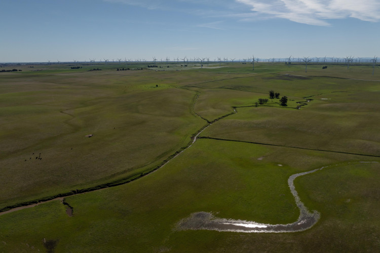 The billionaire investors behind the "California Forever" scheme in Solano County are asking state legislators to allow their massive pro...