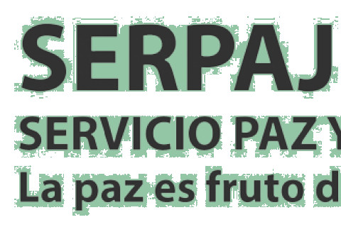 480___serpaj__20226_-.jpg