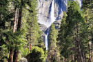 The majestic beautiful Yosemite National Park is under attack by the corrupt Trump regime, the Department of the Interior, Jeffrey Pori, ...
