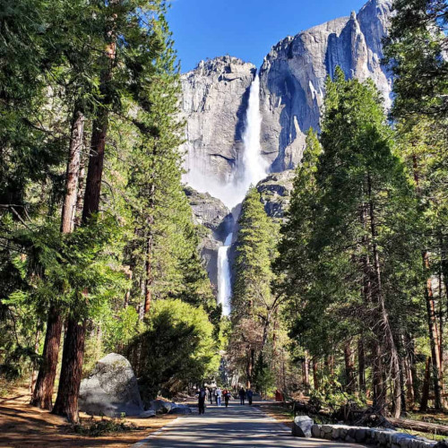 The majestic beautiful Yosemite National Park is under attack by the corrupt Trump regime, the Department of the Interior, Jeffrey Pori, ...