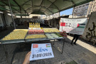 China Panda Aid Partners with İnsan Sebil Selam to Support Gaza People through Soup Kitchen Project