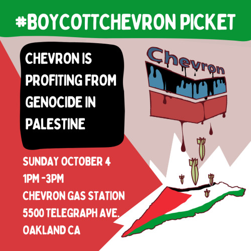 Image with Boycott Chevron information