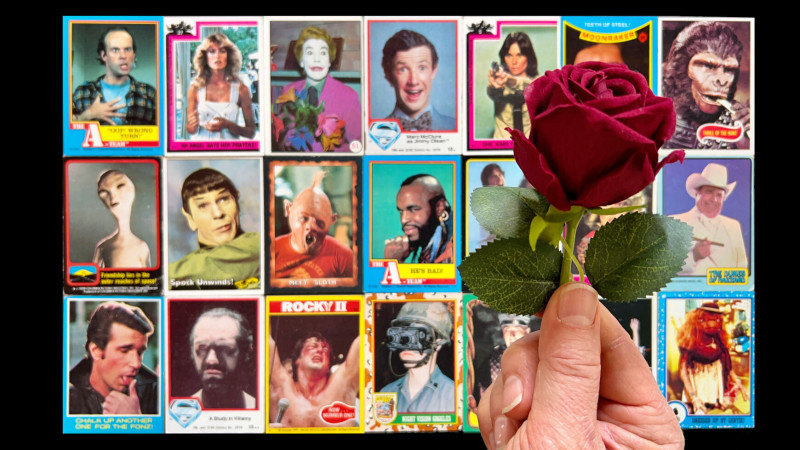 trading cards with hand holding a rose in front
