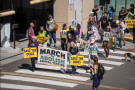The Companion Animal Protection Against Cruel Testing Act, or COMPACT Act, was introduced on Wednesday