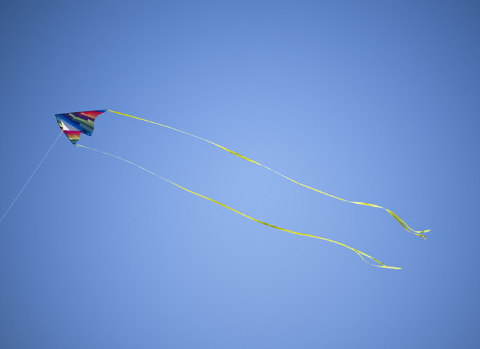 sm_007.jpg