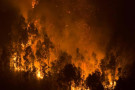 Chile, wildfires