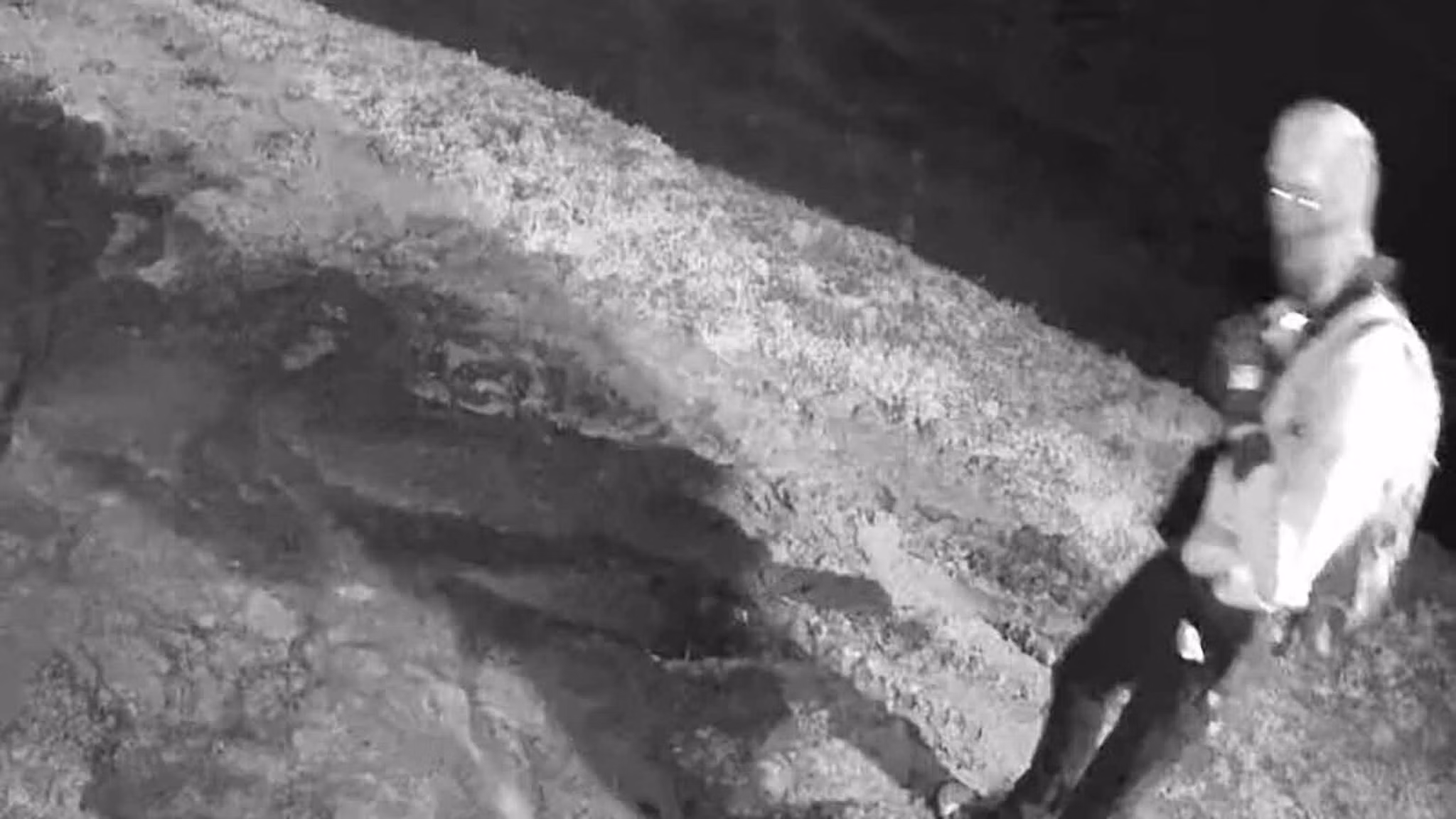 A masked liberator is seen on security video at the Hobbs family mink farm in Franklin, Idaho