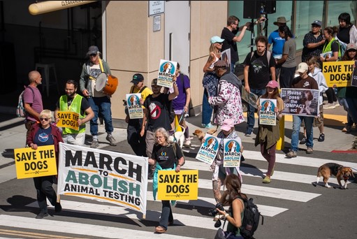 Marchers to speak outside Nancy Pelosi's Office, urging her to support the COMPACT Act