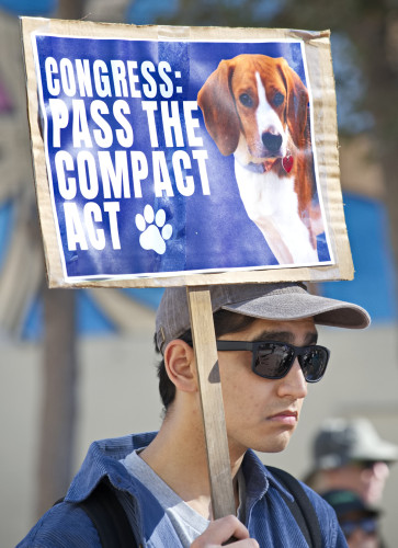 sm_009.jpg