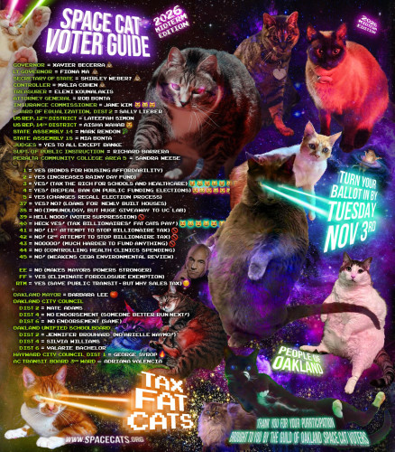 Spacecats voter guide 2026 midterm edition