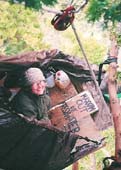 treesit