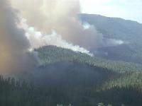 Aerial view of Forest Fire
