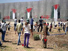 Young Palestinians protest in front of barrier