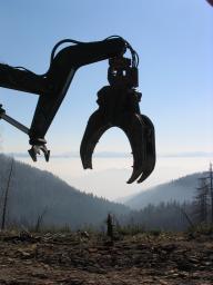northwest forest plan