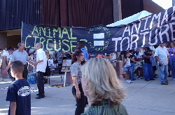 Cruelty Under the Big Top