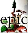 EPIC logo