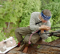 Willow on rope in Jerry