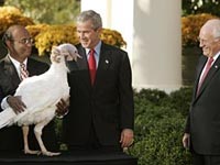 W pardons just two turkeys in Presidential tradition