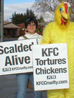 KFC tortures chickens