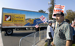 Foster Farms Strikers