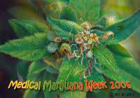 Medical Marijuana Week 2006 in the Bay Area