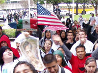 Students Walkout to Protest HR 4437