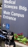 in front of UCSF's vivisection lab