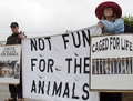 We Are All Animals; Circus Gatti Comes to Watsonville to Benefit the Police