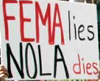 toddsanch_fema-lies-nat-group.jpg