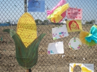 February 13th Speak-Out and Eat-In For A Fair and Healthy Farm Bill