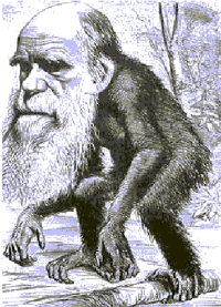 On Thursday, February 12, 2009, marks 200 years to the brith of Darwin
