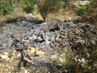 125 Grapevines and Fruit Trees Destroyed by Israeli settlers in Saffa, West Bank