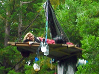 Forest Activists Blockade Clear-cut Logging In Jacoby Creek!